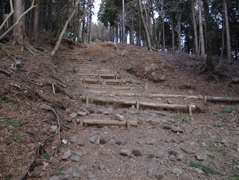 20170118hike (53)
